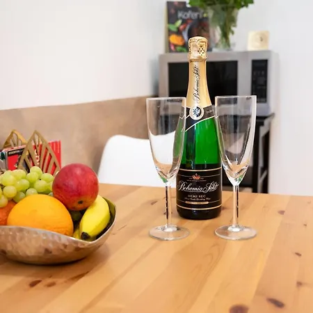 Premium Wenceslas Square Apartment Prague