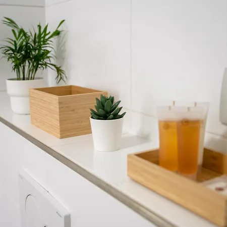 Premium Wenceslas Square Apartament *